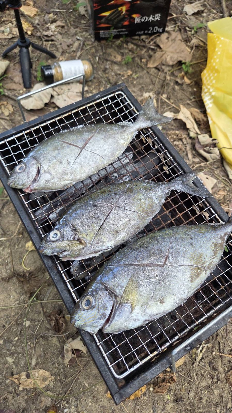 石垣島で釣った魚の炭火焼き|浜ちゃん観光