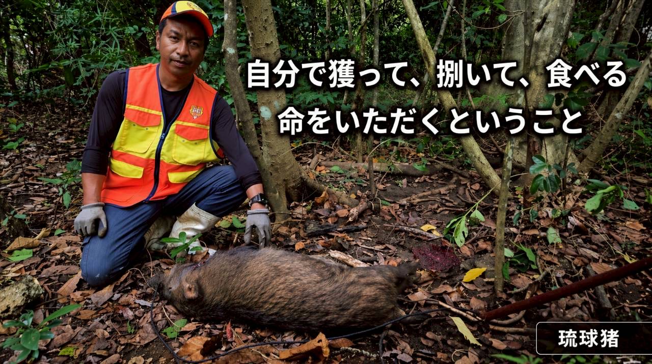 石垣島猪猟同行体験 琉球イノシシ猟を体験