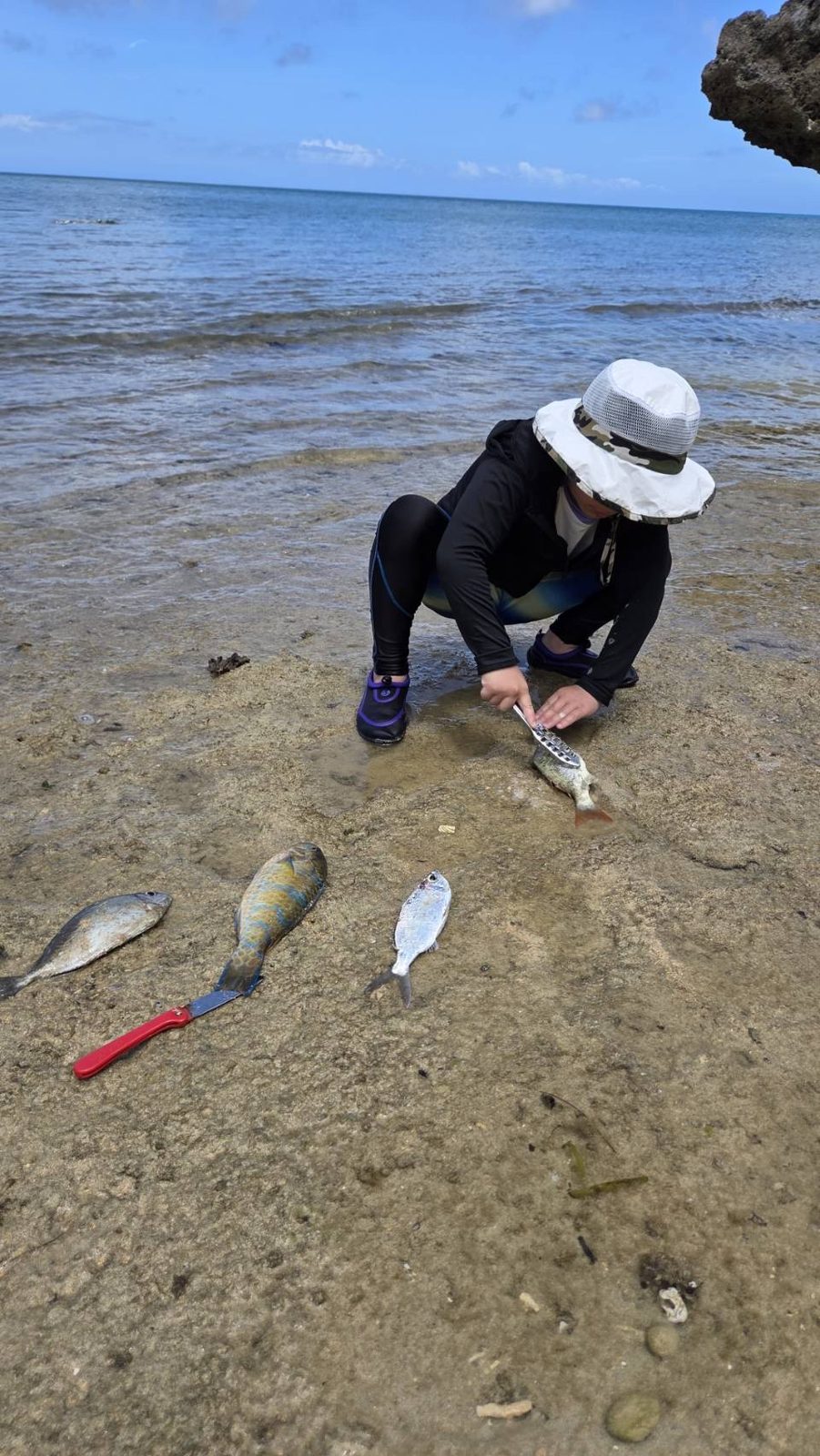 石垣島で釣った魚を計測する子供|浜ちゃん観光