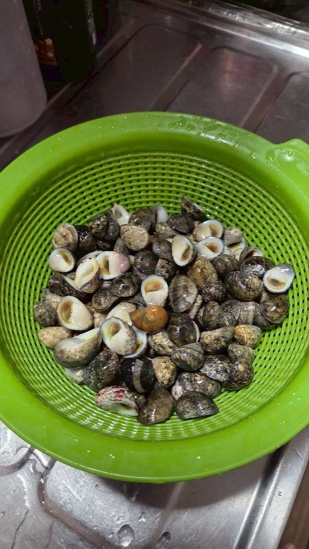 浜ちゃん觀光 行程照片 2