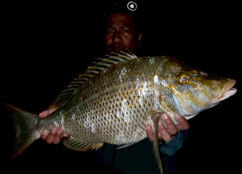 浜ちゃん觀光 行程照片 4