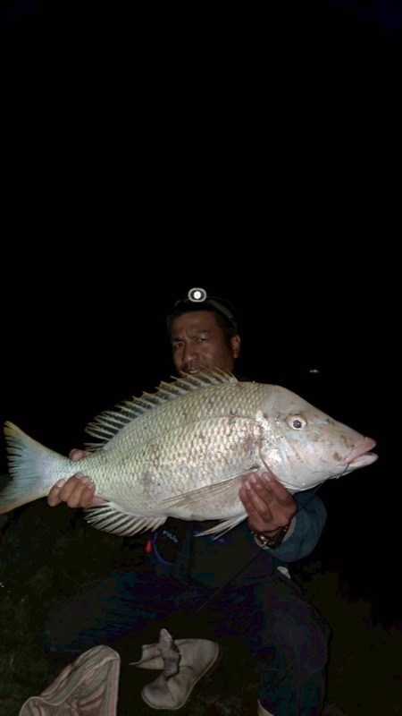 浜ちゃん觀光 行程照片 5