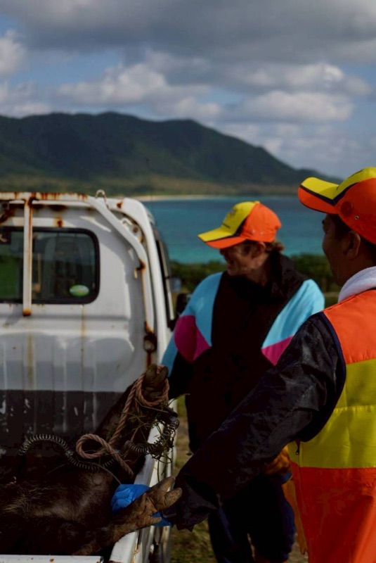 浜ちゃん觀光 行程照片 11