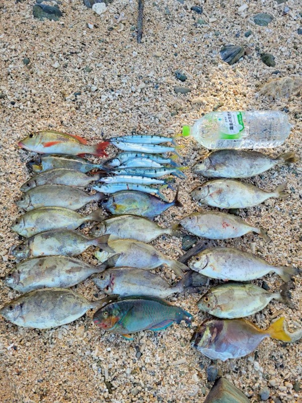 浜ちゃん觀光 行程照片 26