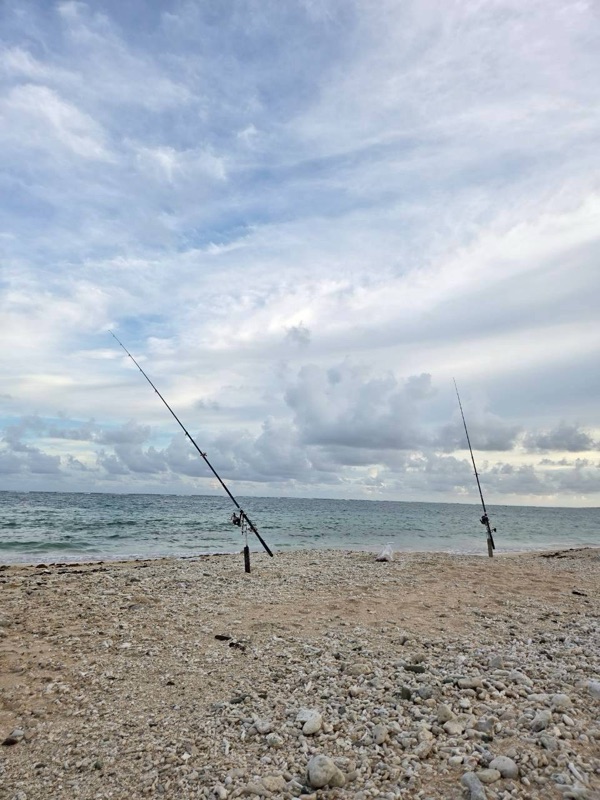 浜ちゃん觀光 行程照片 31