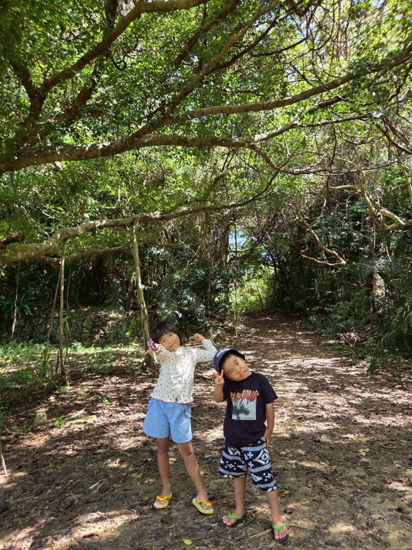 浜ちゃん觀光 行程照片 37