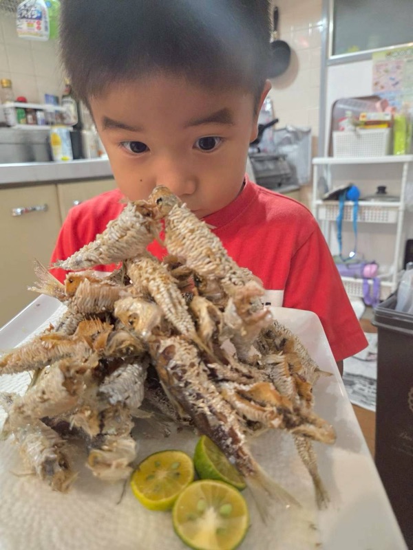 浜ちゃん觀光 行程照片 38