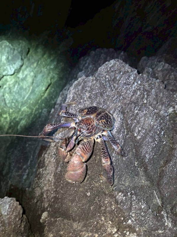 浜ちゃん觀光 行程照片 66