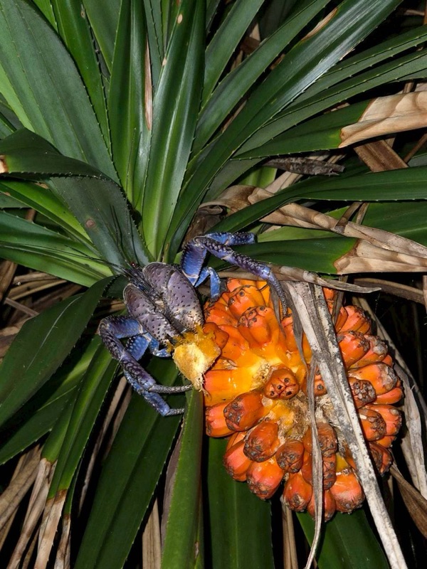 浜ちゃん觀光 行程照片 67